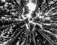 Portfolio-7